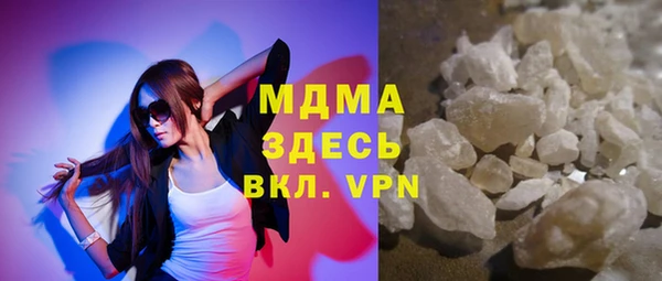 индика Елабуга